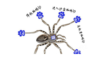 百度蜘蛛是什么？