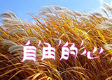 如何加快網(wǎng)站的訪問速度？